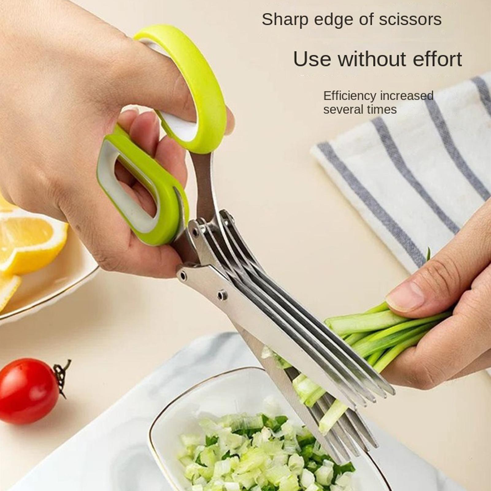 Herb Scissors 5 Blade Stainles - đánh giá và giá Herb Scissors 5 Blade