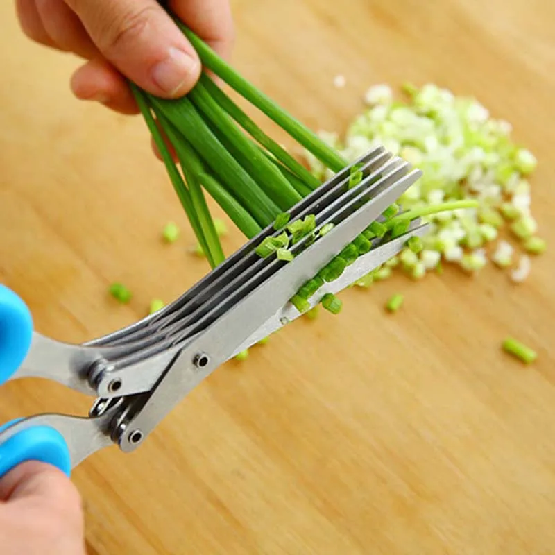 5 Layers Blade Scallion Scisso - đánh giá và giá Herb Scissors 5 Blade